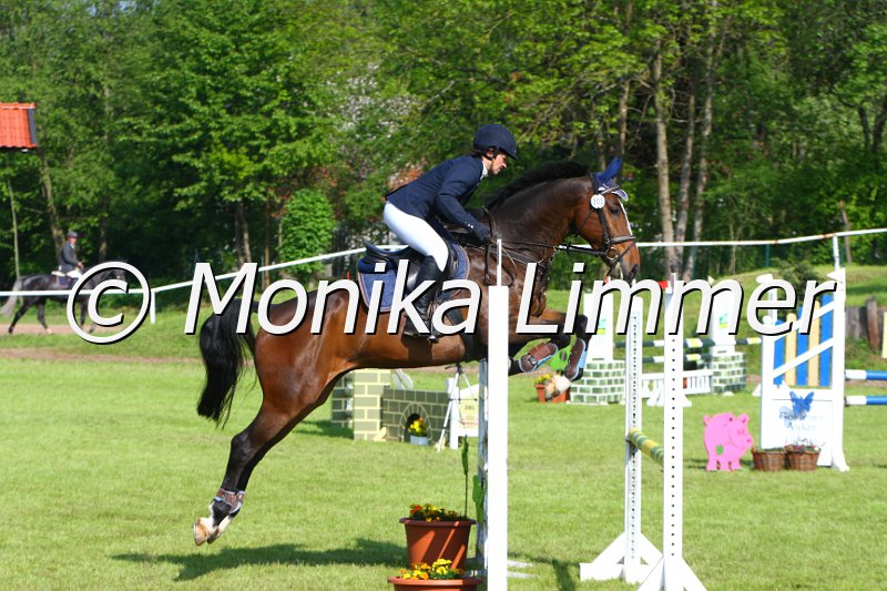 005M4038_Way Hu_Springpferde A.JPG